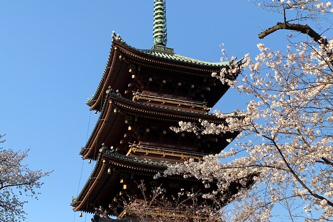 Cherry Blossom Tour in Tokyo - Booking Information