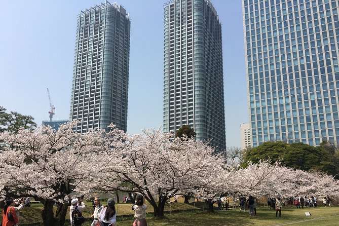 Cherry Blossom Tour in Tokyo - Directions