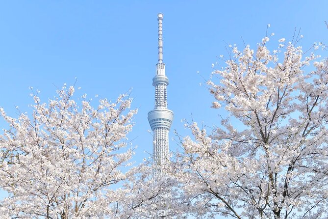 Tokyo Skytree Entry Ticket - Visitor Feedback