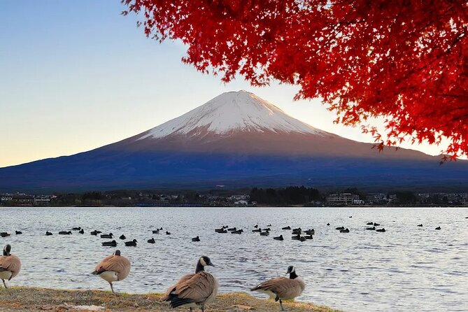 Tokyo to Mount Fuji Journey of a Lifetime Day Trip - Conclusion