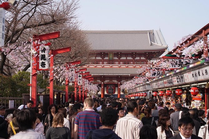 Japanese Sample Food Making Experience - Booking Information