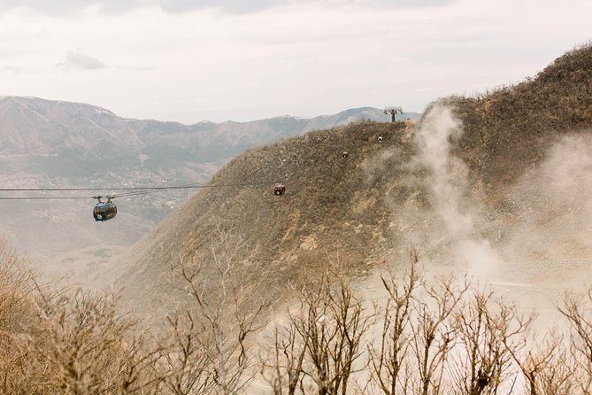 Hakone Private One Day Tour From Tokyo: Mt Fuji, Lake Ashi, Hakone National Park - Customer Reviews