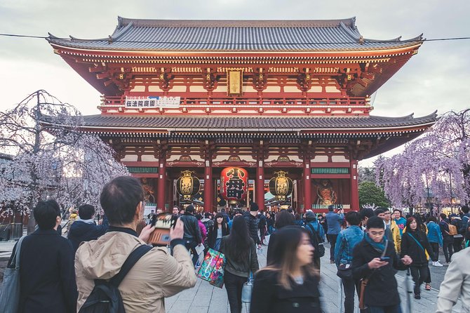 Tokyo Custom Half Day Tour - Booking and Confirmation Process