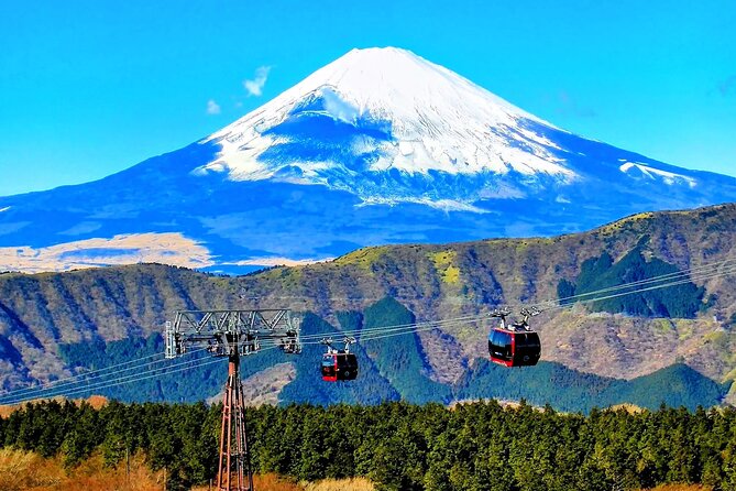 Mt Fuji and Hakone 1-Day Bus Tour Return by Bus - Cancellation Policy