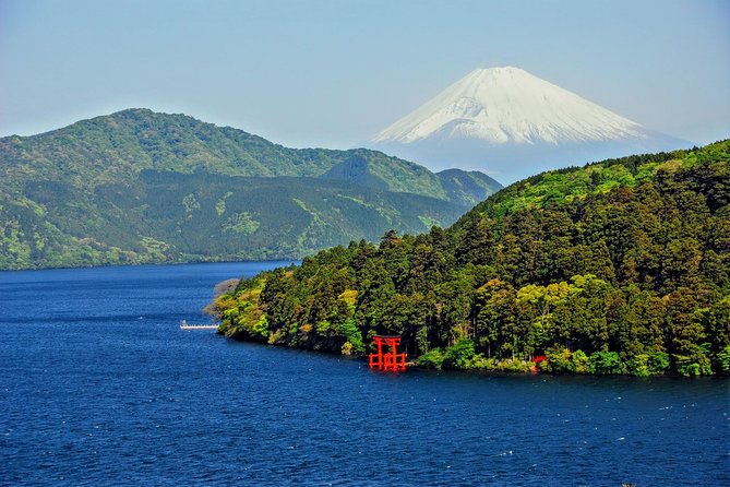 Mt Fuji and Hakone 1-Day Bus Tour Return by Bus - Lunch Options