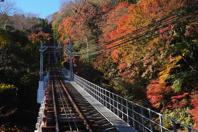 Mt.TAKAO Trekking 1 Day Tour - Wildlife Spotting Opportunities