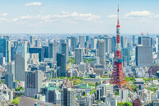 Tokyo Layover 5 Hours Private Tour - Pricing