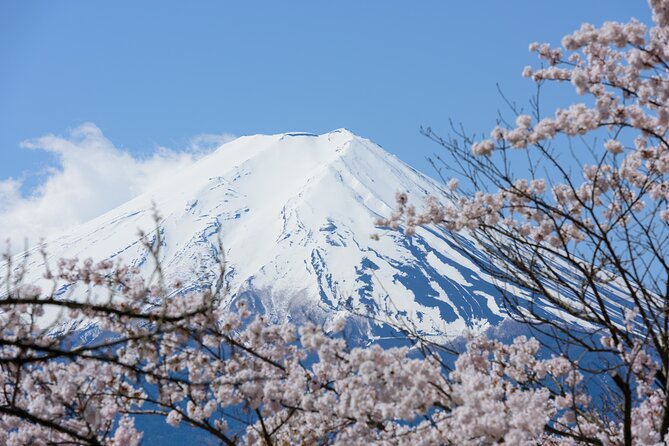 Mt. Fuji Cherry Blossom One Day Tour From Tokyo - Meeting Options