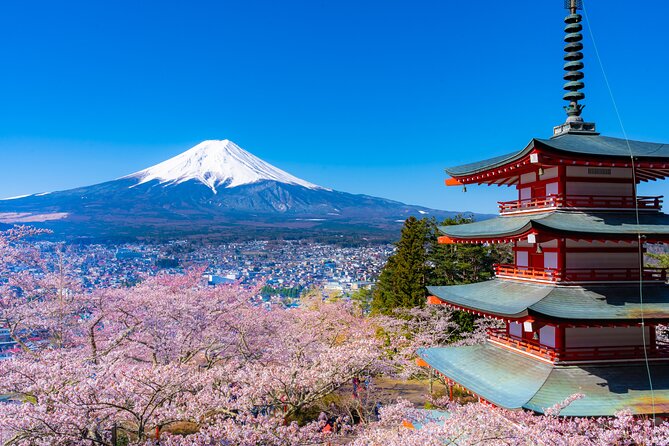 Mt. Fuji Cherry Blossom One Day Tour From Tokyo - Pricing Information