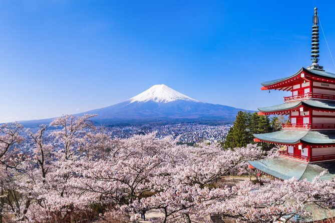 Mt.Fuji and Hakone Tour - Tour Reviews