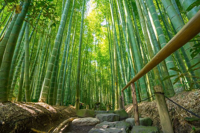 Kamakura Tour - Tour Inclusions