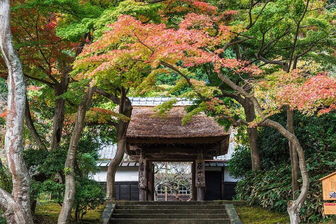 Kamakura Tour - Customer Reviews