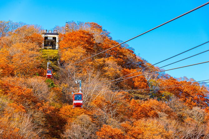 Explore the Culture and History of Nikko With This Private Tour - Scenic Natural Landscapes