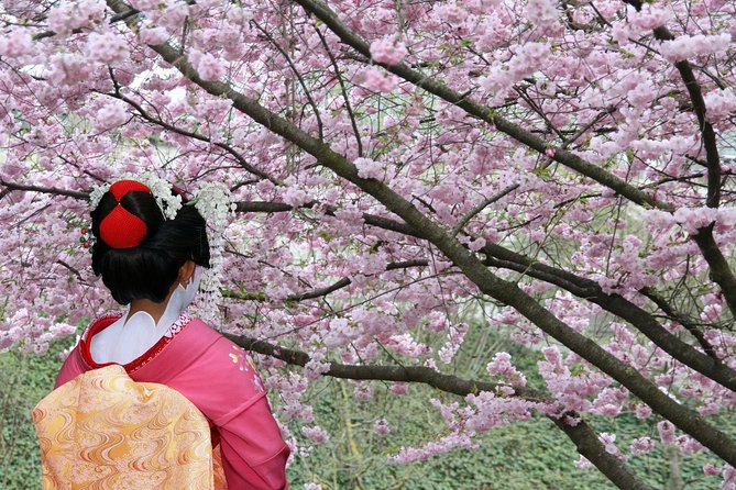 Private & Unique Tokyo Cherry Blossom Sakura Experience - Additional Information