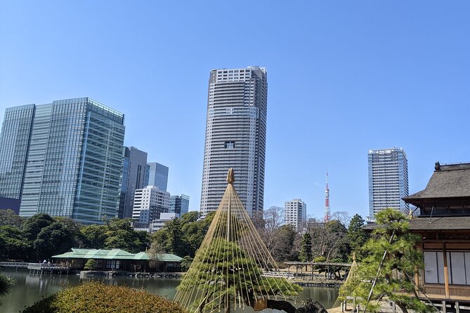 Tokyo Tsukiji & Hamarikyu Gardens Wellness Tour – Walk and Relax - Inclusions