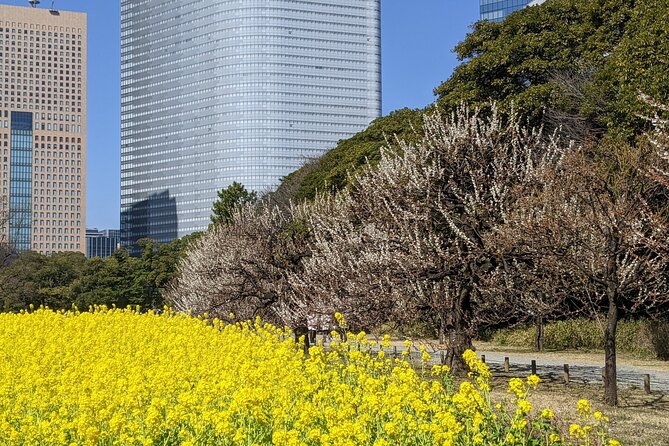 Tokyo Tsukiji & Hamarikyu Gardens Wellness Tour – Walk and Relax - Price Details