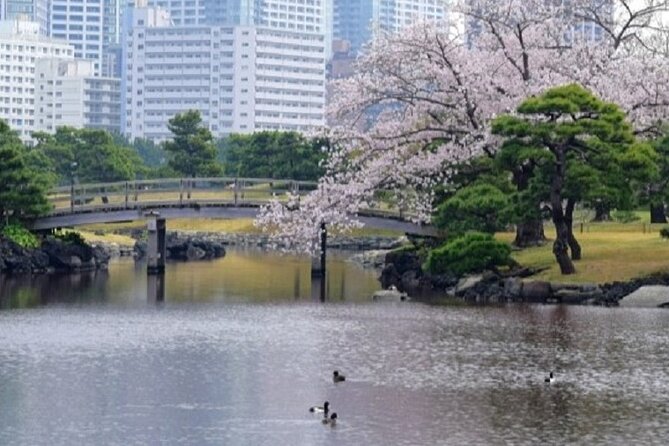 Tokyo Tsukiji & Hamarikyu Gardens Wellness Tour – Walk and Relax - Directions