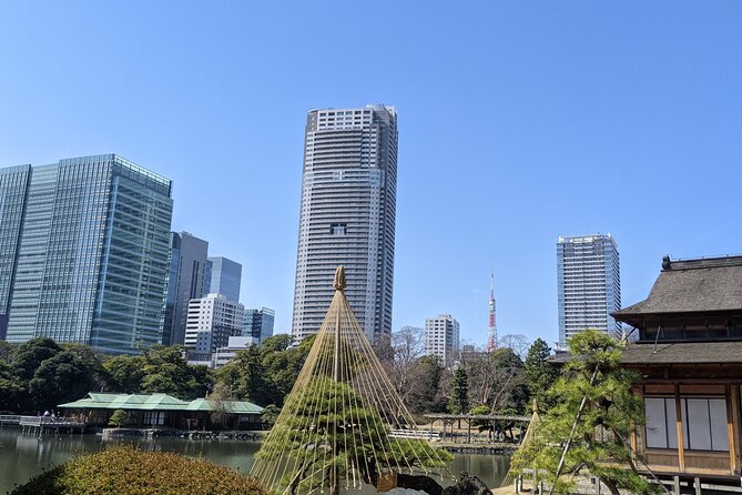 Tsukiji & Hamarikyu Gardens Wellness Tour – Walk, Relax & Lunch - Key Takeaways