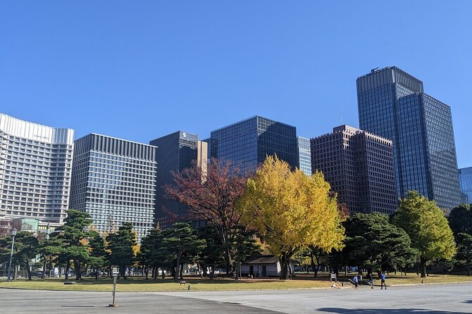 Tokyo Imperial Palace Higashi Gyoen Wellness Tour - Cultural Immersion Experiences