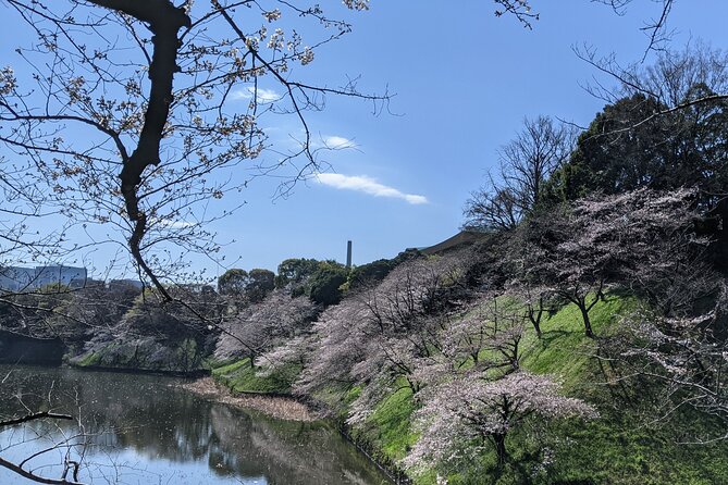 Tokyo Imperial Palace Higashi Gyoen Wellness Tour - Booking Information