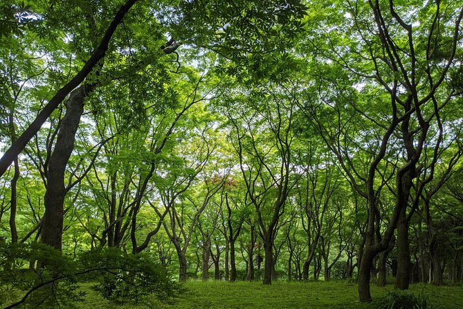 Tokyo Imperial Palace Higashi Gyoen Wellness Tour With Lunch - Wellness Activities Included