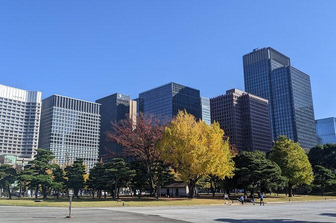 Tokyo Imperial Palace Higashi Gyoen Wellness Tour With Lunch - Accessibility Information