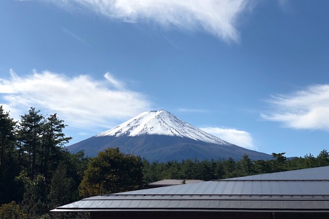 Mt. Fuji & Hakone Tour Tokyo Hotel Pick-Up & Drop-Off by Grayline - Traveler Requirements