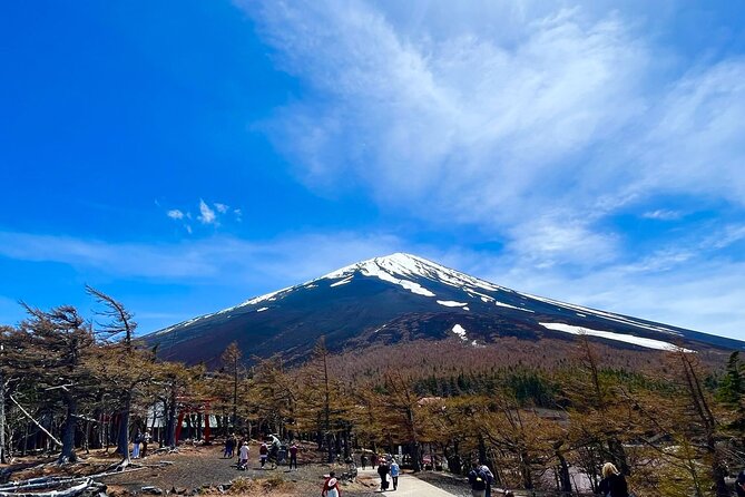 Mt. Fuji & Hakone Tour Tokyo Hotel Pick-Up & Drop-Off by Grayline - Itinerary Overview