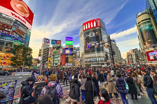 Private Full-day Tokyo Walking Subway Tour by Japan Gray Line - Key Takeaways