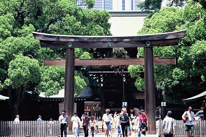 Private Guided Half Day Walking Subway Tour in Tokyo - Key Takeaways