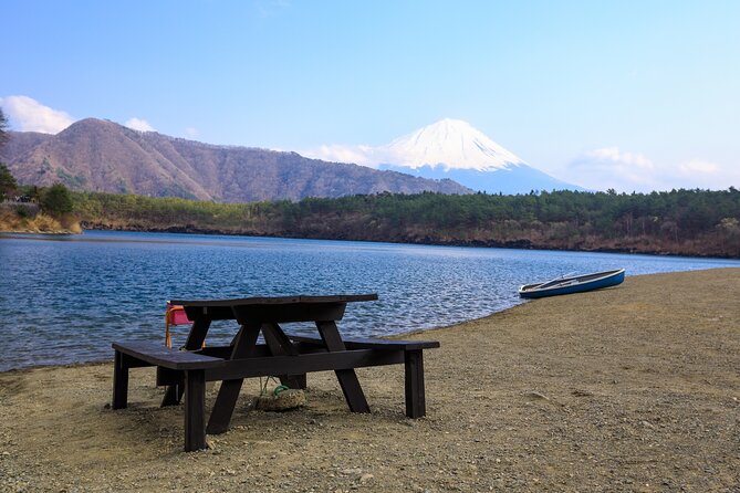 Full Day Private Tour Mt. Fuji, Hakone and Lake Ashi - Transportation Details