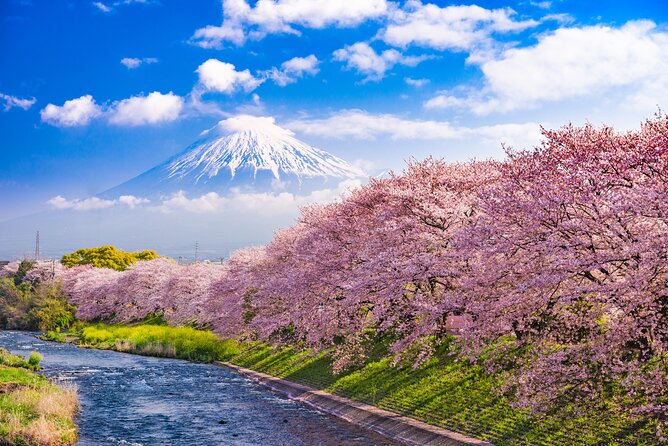 Full Day Private Tour Mt. Fuji, Hakone and Lake Ashi - Pricing and Reservations