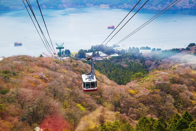 Full Day Private Tour Mt. Fuji, Hakone and Lake Ashi - Directions and Pick-Up Details