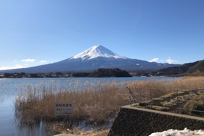 Mt Fuji With Kawaguchiko Lake Day Tour - Reviews