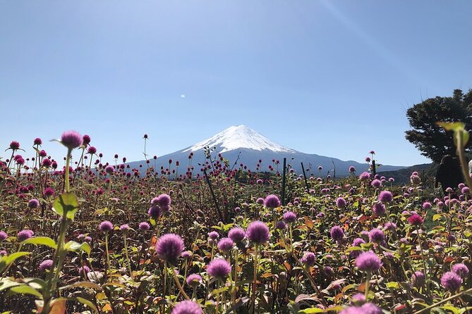 Mt Fuji With Kawaguchiko Lake Day Tour - Cancellation Policy