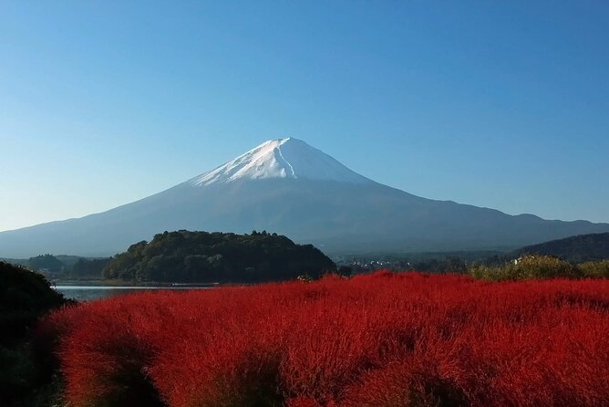 Full Day Tour in Mount Fuji and Oishi Park With Fruit Picking - Meeting and Pickup Information