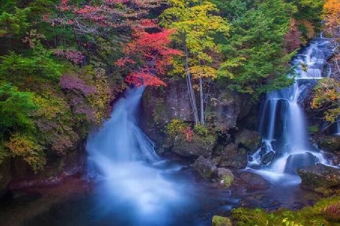 Shared Full Day Tour Visit to Nikko Toshugo From Tokyo - Key Takeaways