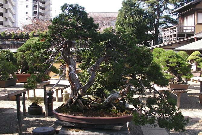 Bonsai and Washi Museum Visit in Tokyo - Key Takeaways