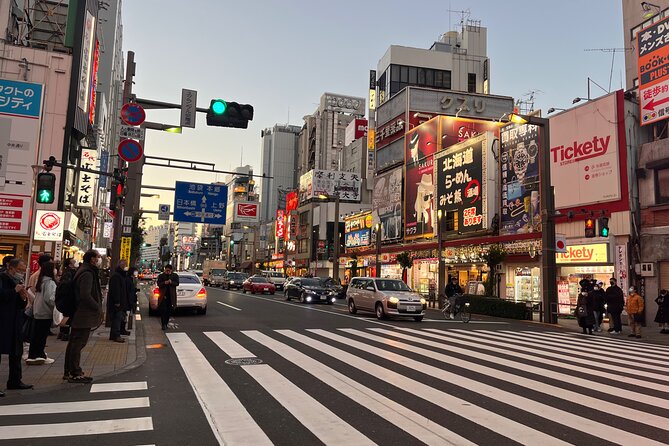 Private Half-Day Tour Colorful and Busy Street in Central Tokyo - Additional Information