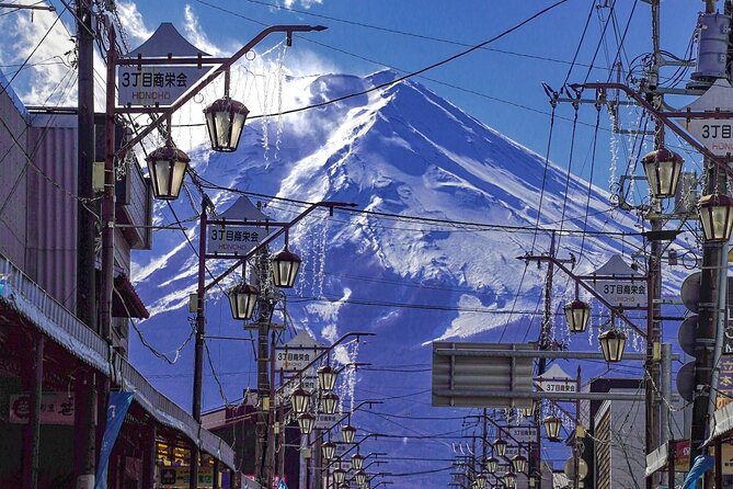 Retreat Bus Tour Surrounded by Beautiful Mt.Fuji - Accessibility and Policies