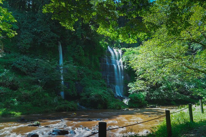 Full-Day Bus Tour on Local Area in Mt. Fuji - Cancellation Policy Details