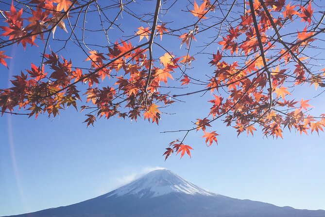 Full Day Private Tour to Mt Fuji by Luxury Vehicle - Pickup Information