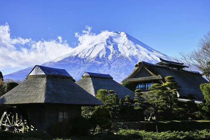 Full Day Private Tour to Mt Fuji by Luxury Vehicle - What To Expect