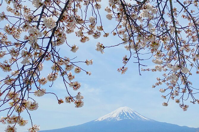 Full Day Private Tour to Mt Fuji by Luxury Vehicle - Price and Booking