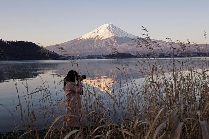 Full Day Private Tour to Mt Fuji by Luxury Vehicle - Reviews