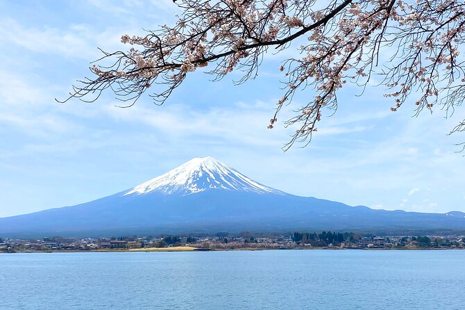 Full Day Private Tour to Mt Fuji by Luxury Vehicle - Frequently Asked Questions