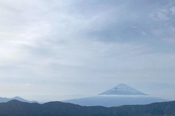 Full Day Private Tour to Mt Fuji by Luxury Vehicle - Cancellation Policy