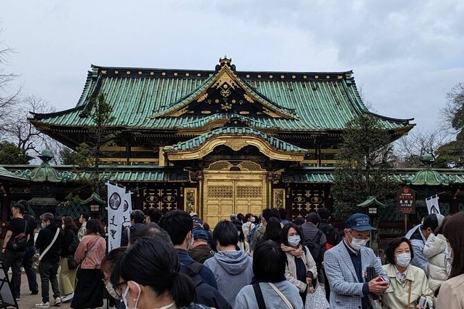 Private Day Tour in Tokyo With a Native English Speaker - Pricing and Inclusions