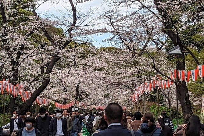 Private Day Tour in Tokyo With a Native English Speaker - Reviews and Testimonials