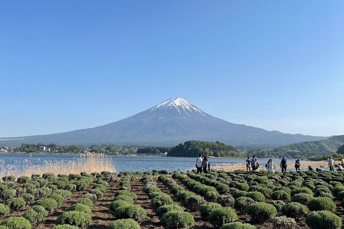 Private Tour to Mt Fuji and Hakone With English Speaking Driver - Tour Reviews